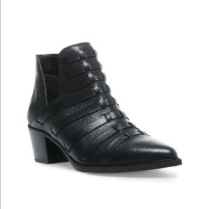 Steve Madden Dova booties